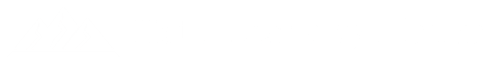 logo-s12-light